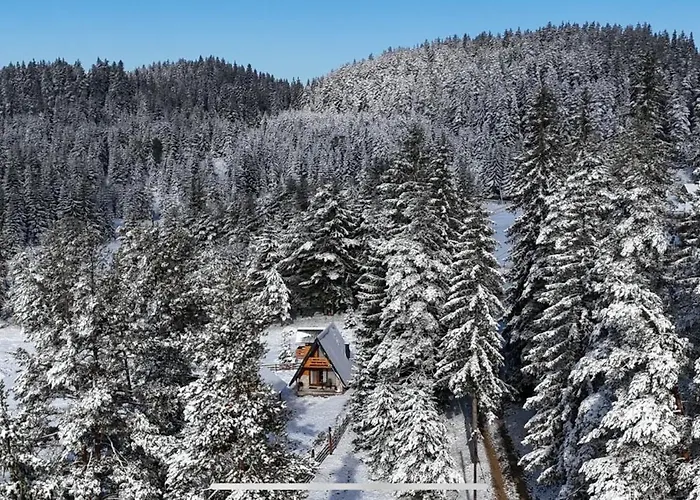 Vikendica Monte Pino Romanija Sokolac (East Sarajevo)
